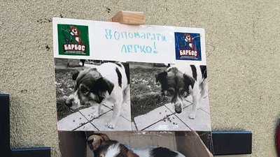 Восьму акцію "Капуркова книга" провели в Ужгороді Восьму акцію "Капуркова книга" провели в Ужгороді