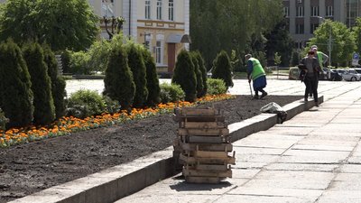 В Житомирі на клумбі біля майдану Корольова висадили більше тисячі квіток