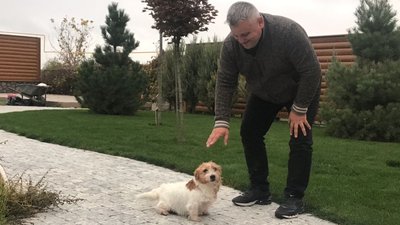“Собаки допомагають побороти психологічні травми”– атовець з Кропивницького “Собаки допомагають побороти психологічні травми”– атовець з Кропивницького