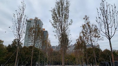 Меморіал загиблим захисникам України в Одесі готовий на 75% — міськрада