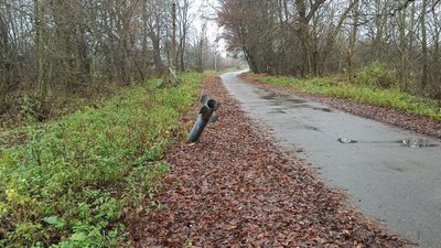 З прикордонного села на Чернігівщині вивезли усіх жителів З прикордонного села на Чернігівщині вивезли усіх жителів