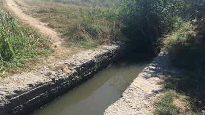 Вміст хімічних речовин у воді в районі Куяльницького лиману перевищує норму в п’ять разів Вміст хімічних речовин у воді в районі Куяльницького лиману перевищує норму в п’ять разів