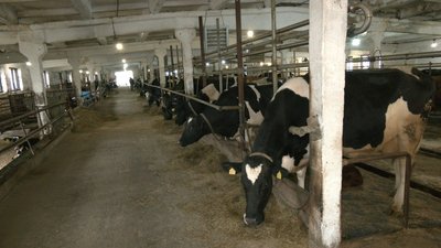 Фермерське господарство Руслана Панаса Фермерське господарство Руслана Панаса