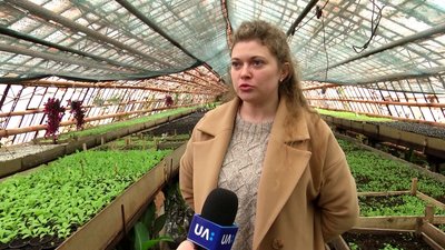 У Житомирі комунальники планують висадити більше 100 тисяч рослин У Житомирі комунальники планують висадити більше 100 тисяч рослин