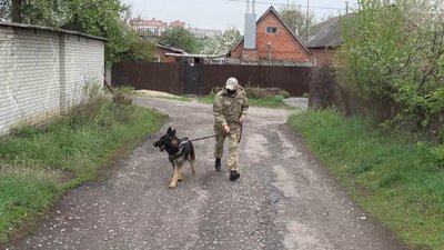 Пошуковий собака Рамзес допоміг сумським поліцейським викрити крадія Пошуковий собака Рамзес допоміг сумським поліцейським викрити крадія