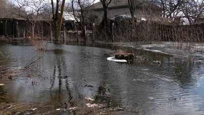 У Шаболтасівці на Чернігівщині у людей затопило погреби: як рятують свій врожай