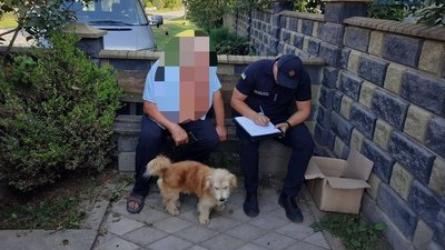 В Луцькому районі згоріли більше двох гектарів сухої трави. Палію загрожує штраф В Луцькому районі згоріли більше двох гектарів сухої трави. Палію загрожує штраф