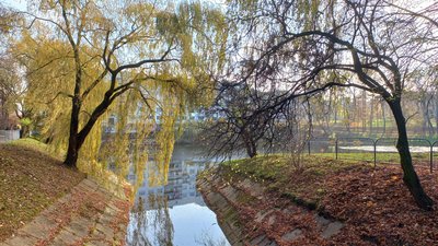 У Львові планують очистити сім озер: локації