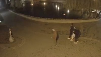 В івано-франківському парку вандали пошкодили фігуру жар-птиці В івано-франківському парку вандали пошкодили фігуру жар-птиці