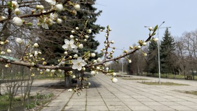 У Херсоні тепла погода протримається недовго. Головний синоптик області прогнозує похолодання