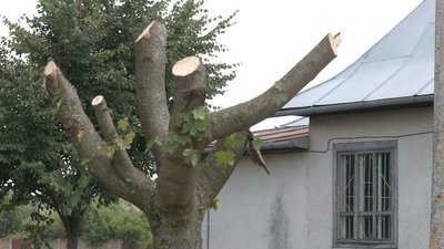 Енергетики і негода Енергетики і негода