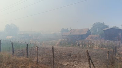 Горить ліс біля станці Мала Перещепина на Полтавщині Горить ліс біля станці Мала Перещепина на Полтавщині