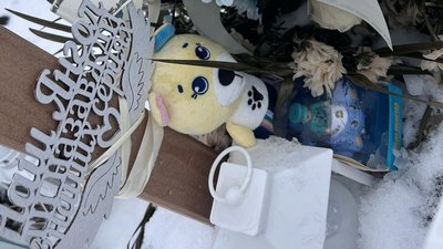 Смерть, немовля, дитина, перинатальний центр, Франківськ
