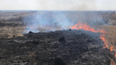 За добу на Прикарпатті зафіксували 41 пожежу сухої трави За добу на Прикарпатті зафіксували 41 пожежу сухої трави