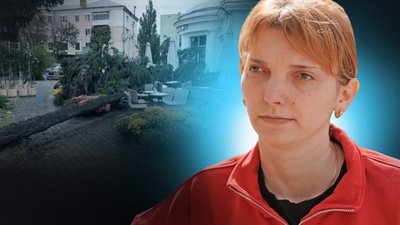 Що із справою про травмування деревом полтавки біля "Фотографа"