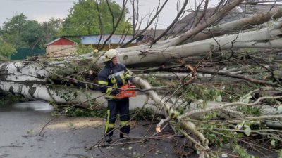 Щонайменше 3 дерева у Дніпрі впали на автомобілі Щонайменше 3 дерева у Дніпрі впали на автомобілі