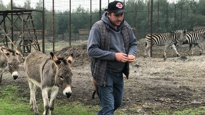Через війну в екопарку біля Полтави живуть тварини з інших областей