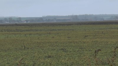 На Полтавщині громадам передають державні землі у комунальну власність