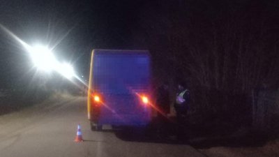 ДТП на Житомирщині – мікроавтобус збив жінку, яка переходила дорогу