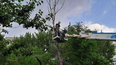 У Корабельному районі Миколаєва буревій повалив дерева. Одне з них заблокувало під’їзд У Корабельному районі Миколаєва буревій повалив дерева. Одне з них заблокувало під’їзд