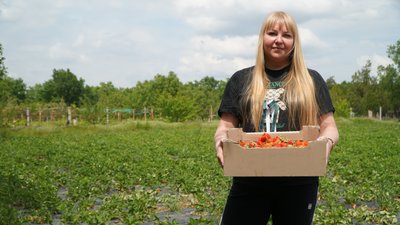 "В таких умовах — це дуже тяжко". Як жителі Нікопольщини вирощують полуницю в умовах повномасштабної війни "В таких умовах — це дуже тяжко". Як жителі Нікопольщини вирощують полуницю в умовах повномасштабної війни