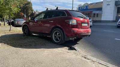 У Миколаєві водійка "Ford Focus" скоїла наїзд на У Миколаєві водійка "Ford Focus" скоїла наїзд на