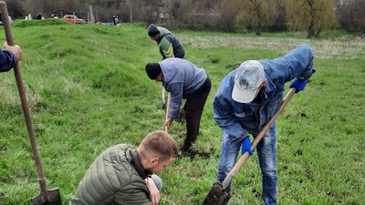 "Ми робимо це для себе і наших дітей". У Новоукраїнці містяни посадили 60 лип та 60 кущів самшиту "Ми робимо це для себе і наших дітей". У Новоукраїнці містяни посадили 60 лип та 60 кущів самшиту