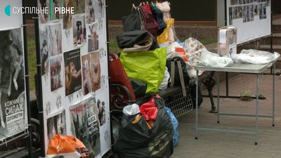 У Рівному збирають допомогу для тварин, які на перетримці У Рівному збирають допомогу для тварин, які на перетримці