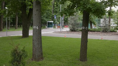 Будівництво паркінгу у парку Горького у Харкові: як Будівництво паркінгу у парку Горького у Харкові: як