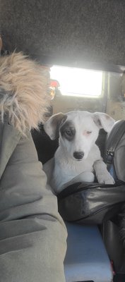 Вінничани збирають гумвантаж на Донецький напрямок Вінничани збирають гумвантаж на Донецький напрямок