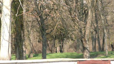 Якої погоди очікувати на Херсонщині у квітні Якої погоди очікувати на Херсонщині у квітні