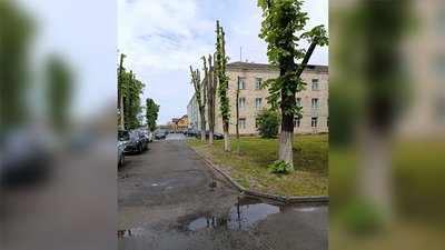 Що варто знати про благоустрій зелених насаджень на Рівненщині