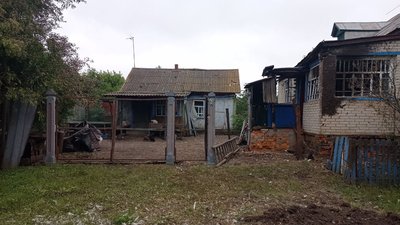 "Гусей стадо повністю розбило. Десять штук" - мешканці села Павліка на Сумщині про обстріли села "Гусей стадо повністю розбило. Десять штук" - мешканці села Павліка на Сумщині про обстріли села