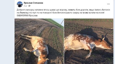 Допис з ФБ сторінки Антонінської громади. Допис з ФБ сторінки Антонінської громади.