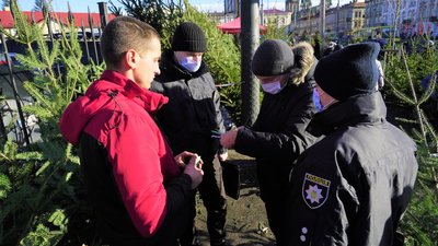 Львівські поліцейські вилучили майже 120 незаконно зрубаних ялинок