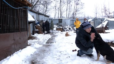 Депутати Рівнеради відвідали бездомних собак і вирішили оновити програму утримання тварин в місті