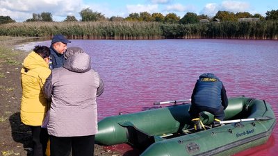 Екоінспекція, ставок, почервоніла вода 