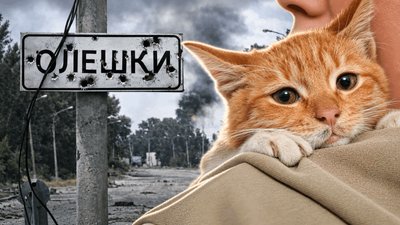 евакуація, коти, Херсон, Олешки, Миколаїв