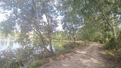 Оштрафували за паління трави