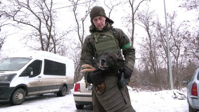 собаки нацгвардія собаки нацгвардія