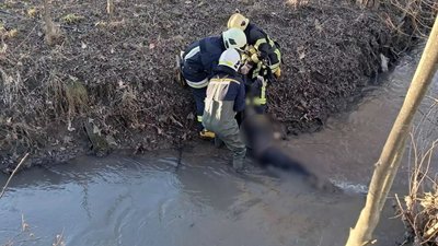 На Івано-Франківщині в потічку втопився чоловік