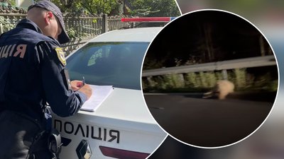 Поліцейський, Ворохта, вівці, Франківщина