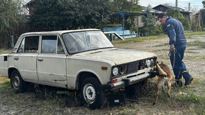 "Дуже гарний пес. Розуміє та робить свою справу": у ДСНС служить собака-сапер на ім’я Майстер "Дуже гарний пес. Розуміє та робить свою справу": у ДСНС служить собака-сапер на ім’я Майстер