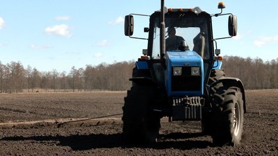 Яка ситуація із посівом озимих культур на Рівненщині