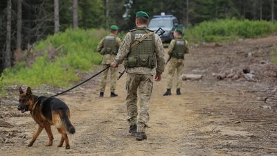 На Одещині лисиця напала на прикордонника та службову собаку