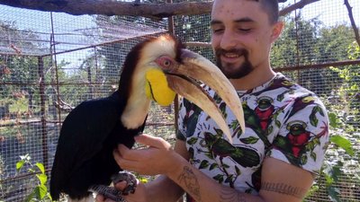У притулку орнітолога живуть 16 птахів У притулку орнітолога живуть 16 птахів