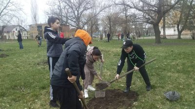 У Кропивницькому Кущівська гімназія посадила дерева Перемоги