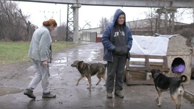 У Херсоні притулок для бездомних тварин опинився на межі закриття