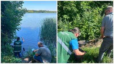 На Полтавщині з'ясовують причини мору риби у водосховищі: що відомо
