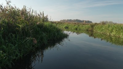 Гідрологічний заказник «Рівненські плавні»